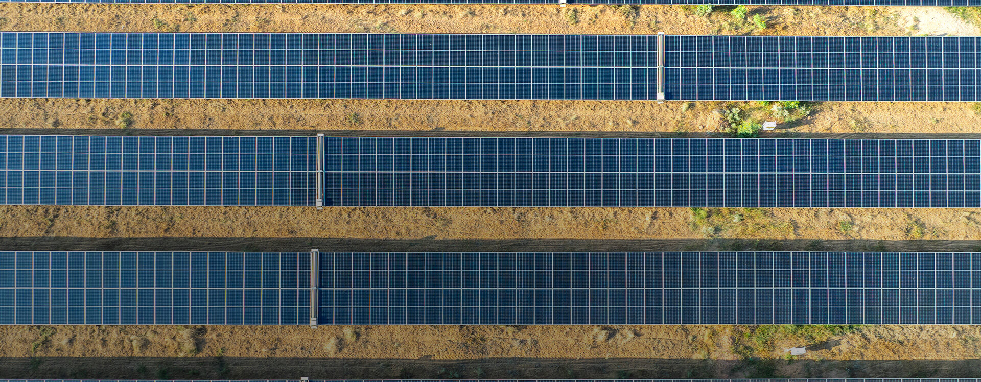 Value Chain Sustainability