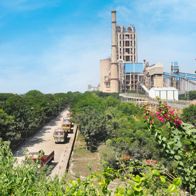 Energising the Green Transition