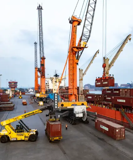 Exceptional Connectivity