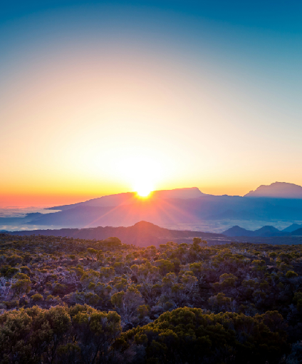 Towards a Sustainable Future